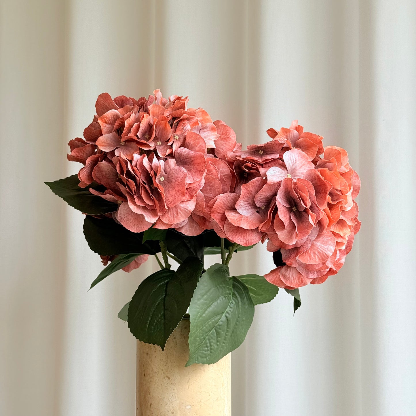 Hortensia orange