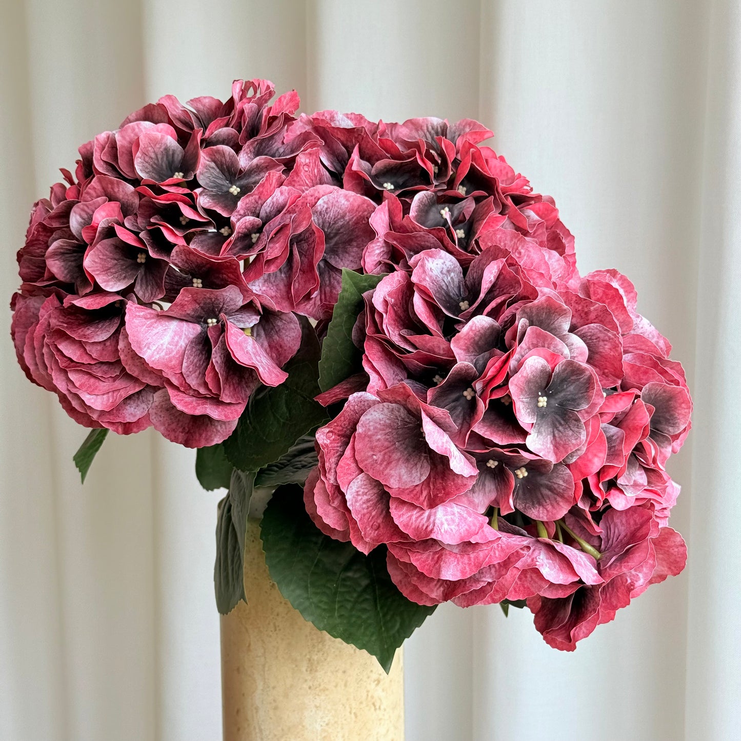 Hortensia bordeaux