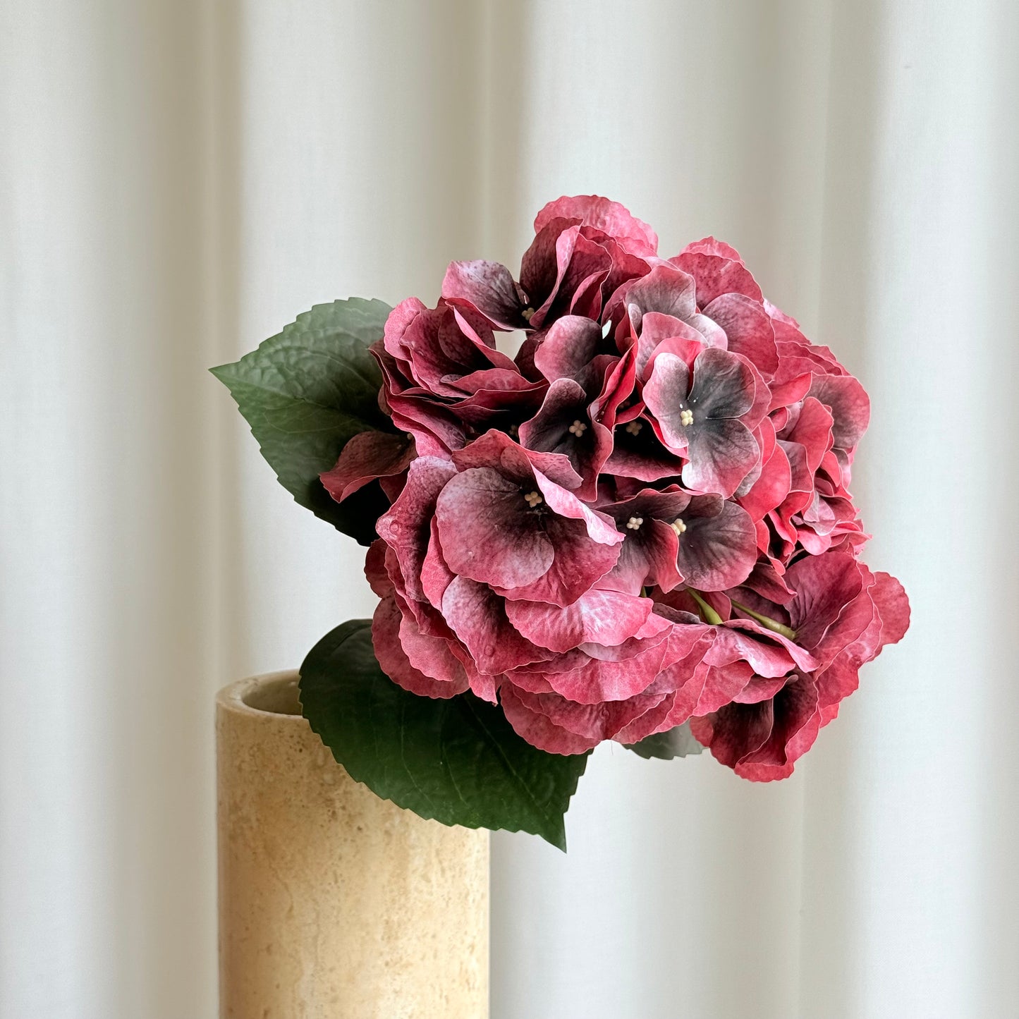 Hortensia bordeaux