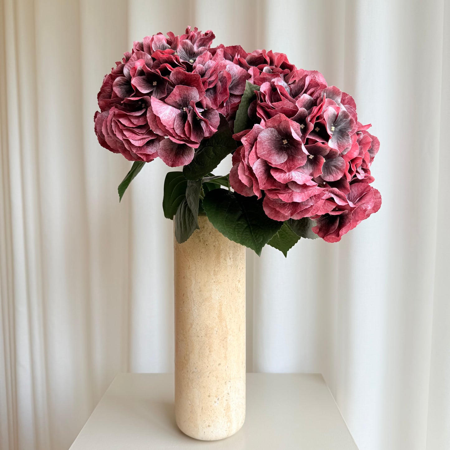 Hortensia bordeaux