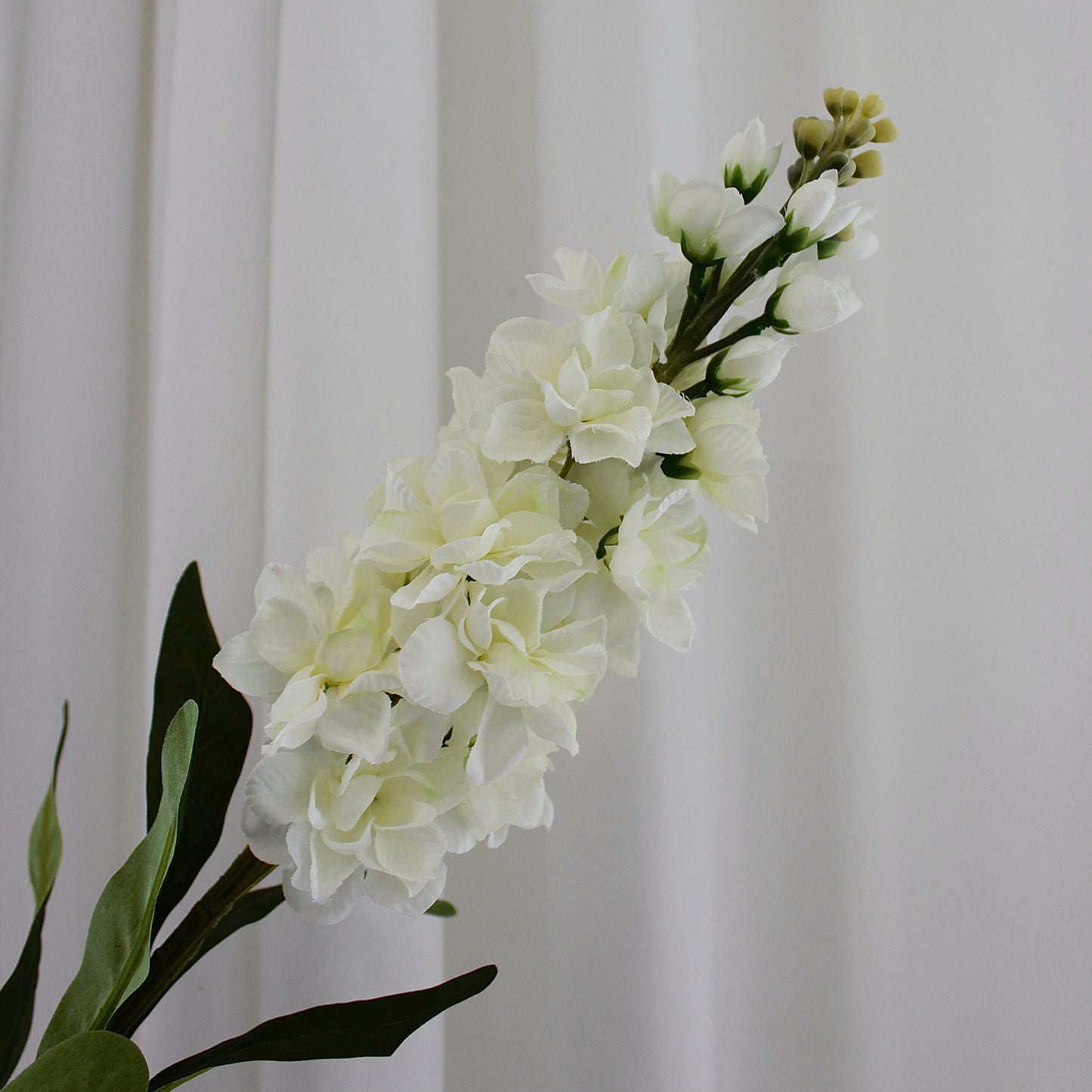 Hyacinth hvid