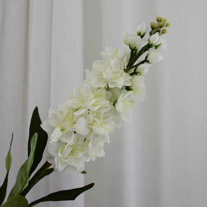 Hyacinth hvid