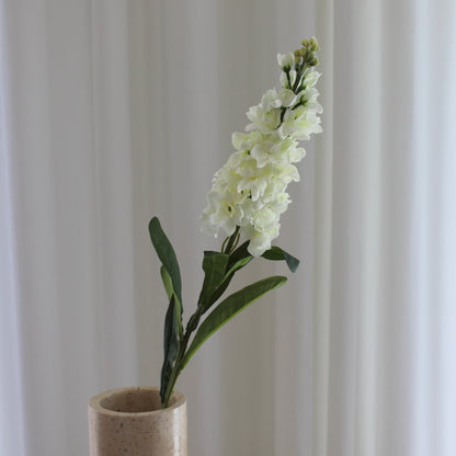 Hyacinth hvid