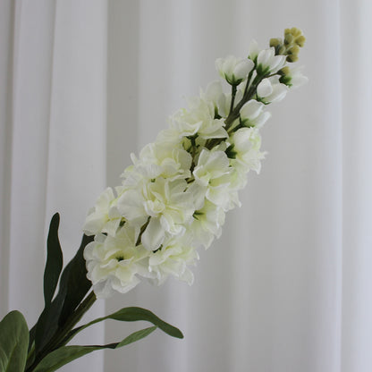 Hyacinth hvid