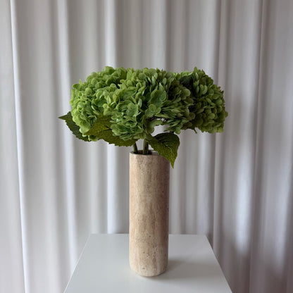 Hortensia grøn