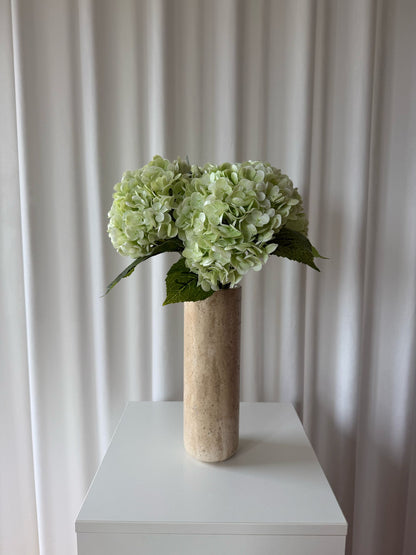 Hortensia lyse grøn
