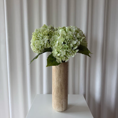 Hortensia lyse grøn