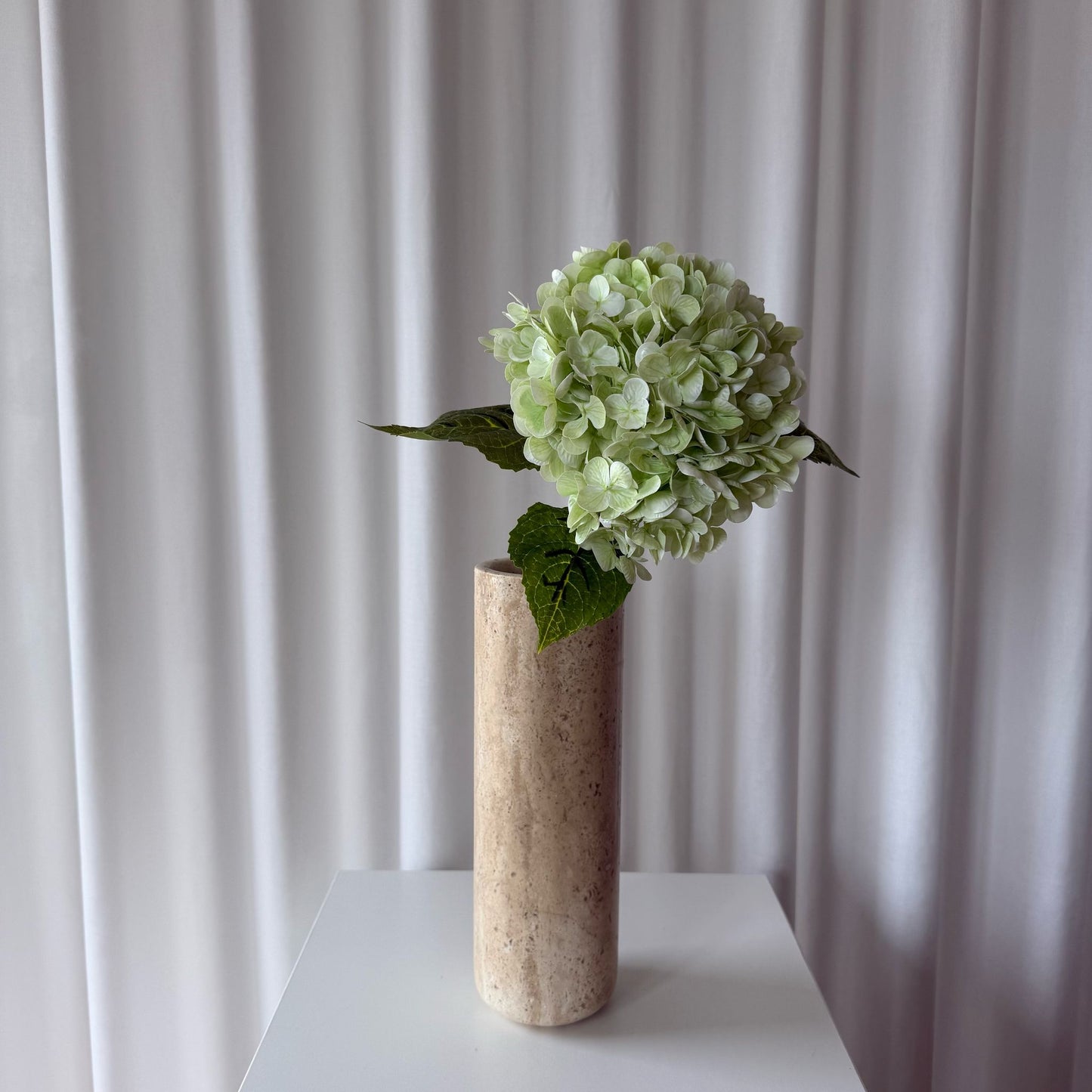 Hortensia lyse grøn