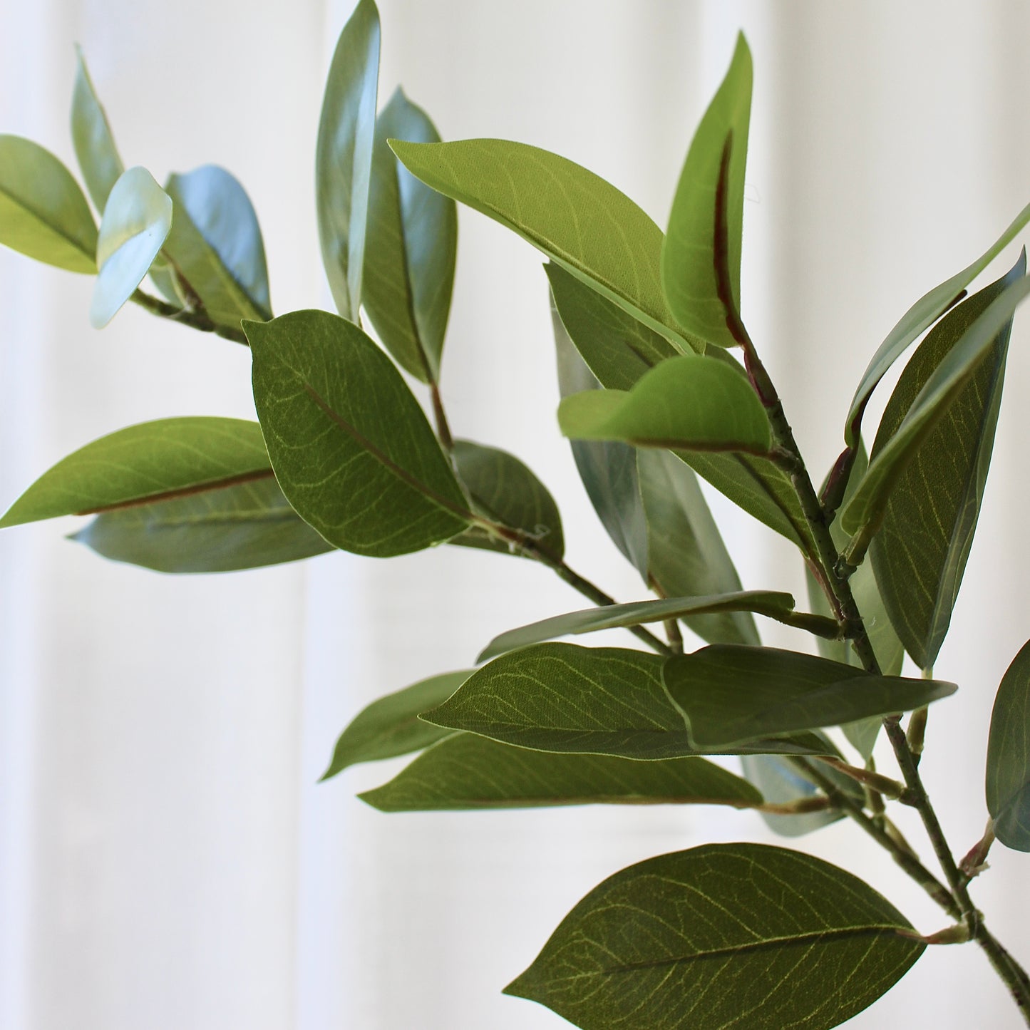Grøn Leaves