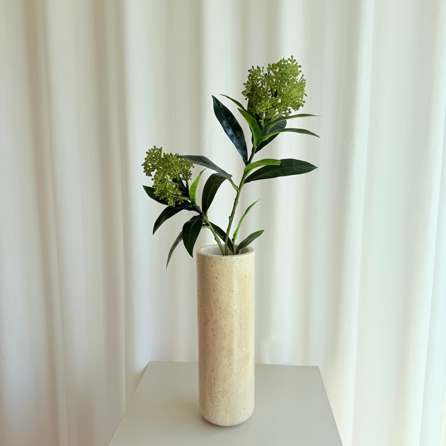Skimmia grøn