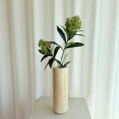 Skimmia grøn