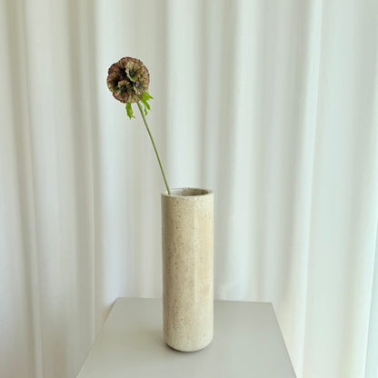 Scabiosa brun