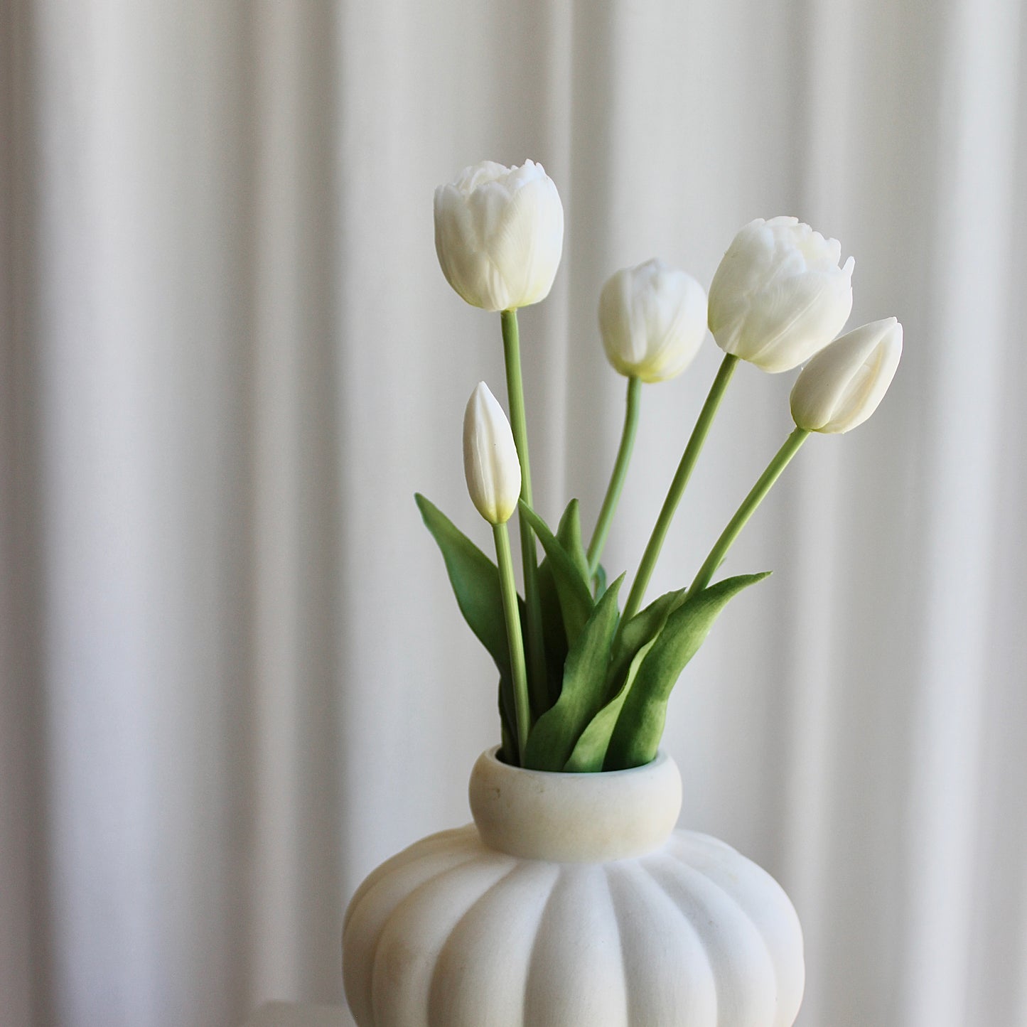 Tulipaner hvid