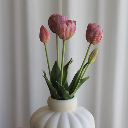 Tulipaner rosa