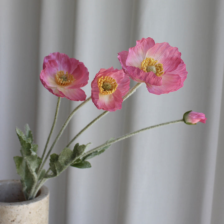 Poppy pink