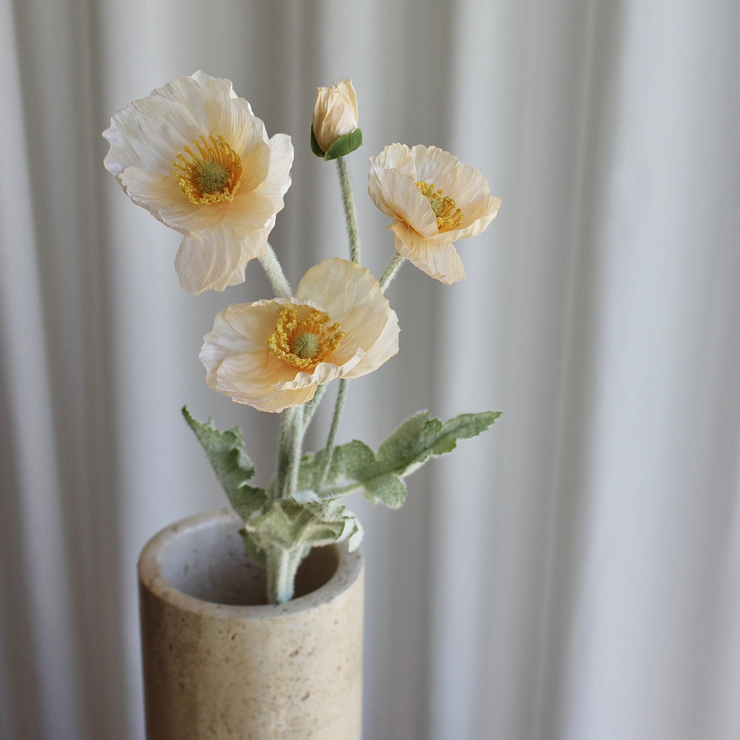 Poppy Champange
