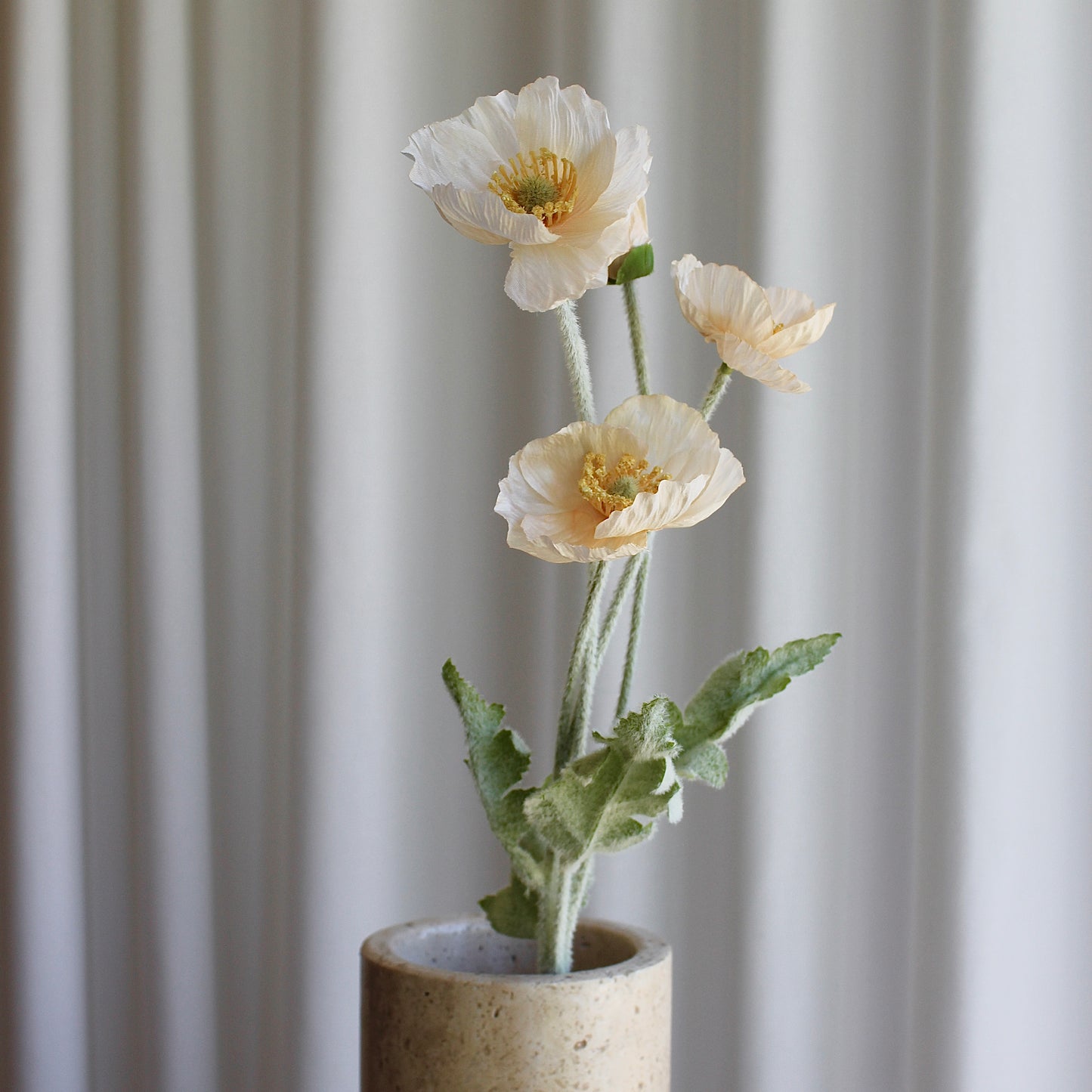 Poppy Champange