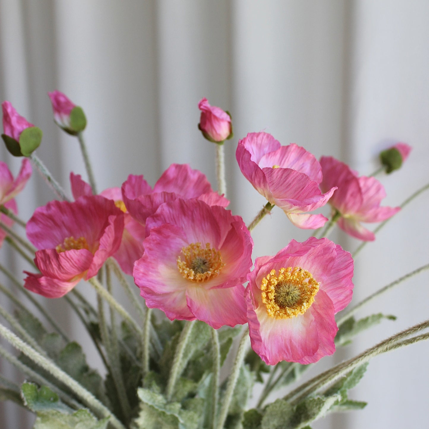 Poppy pink