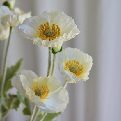Poppy hvid