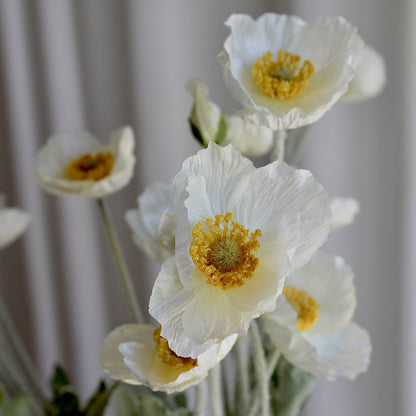 Poppy hvid