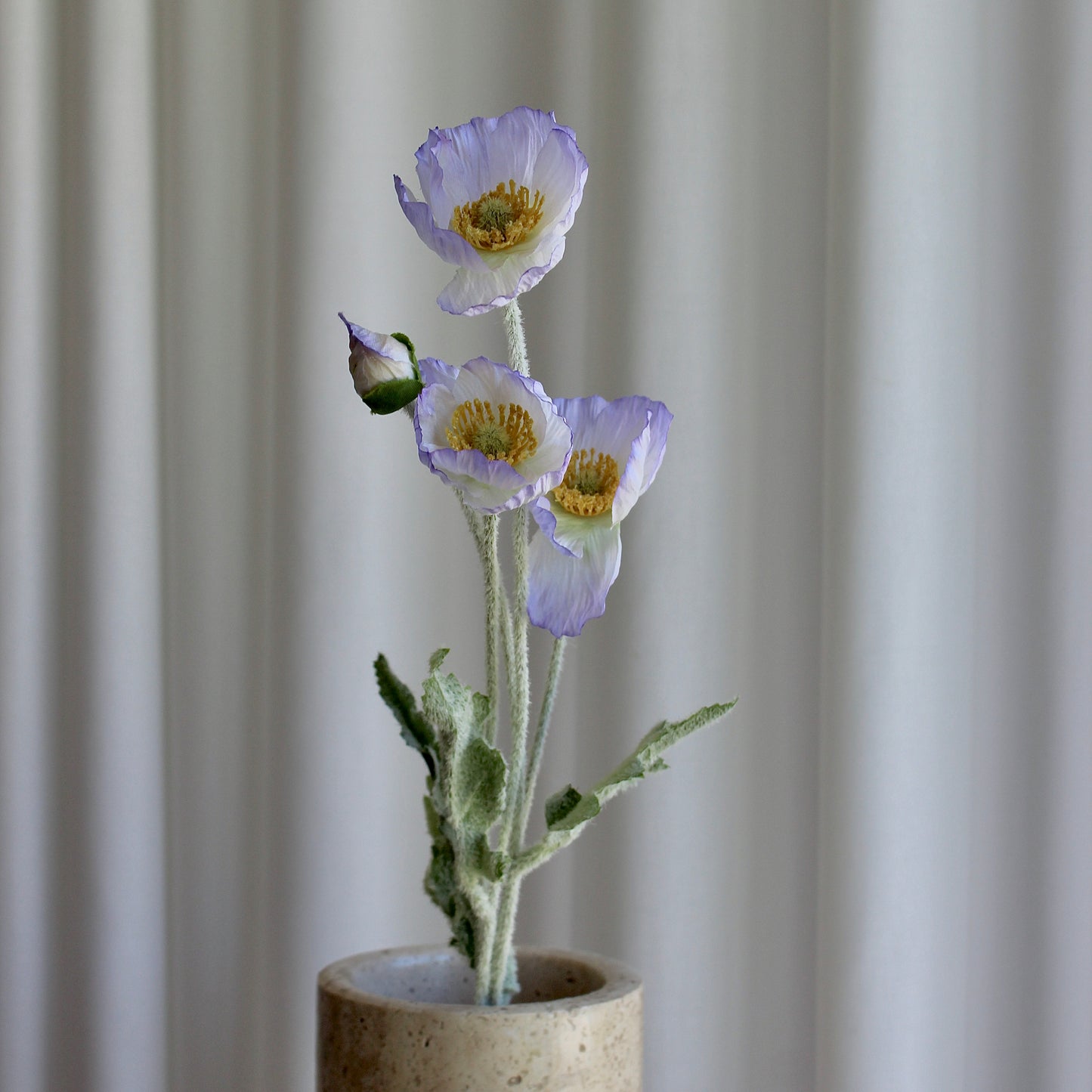 Poppy lys lilla