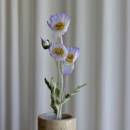 Poppy lys lilla