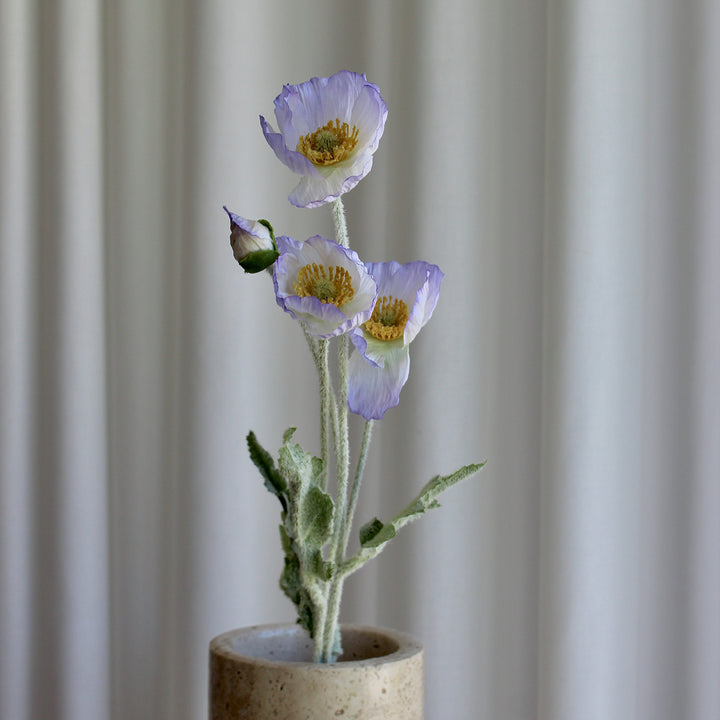 Poppy lys lilla