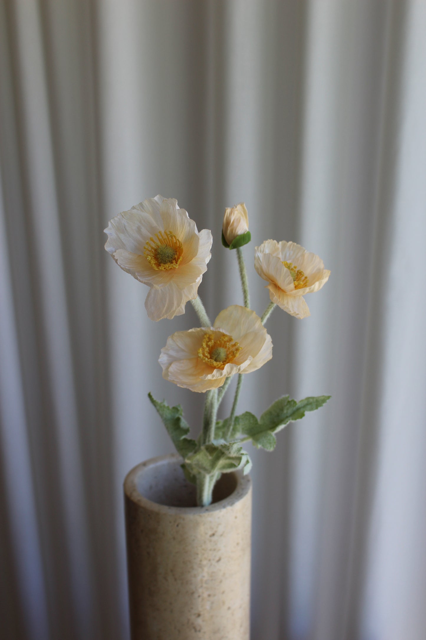 Poppy Champange