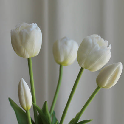 Tulipaner hvid