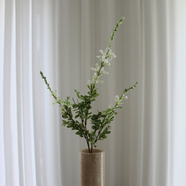 Salvia Grass hvid