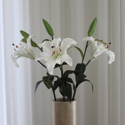 Lily hvid