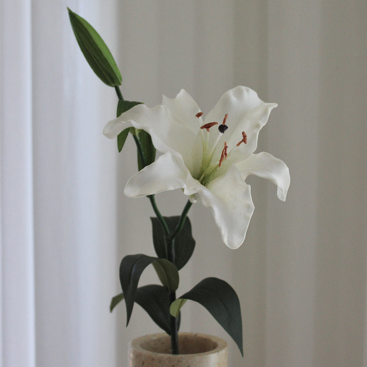 Lily hvid