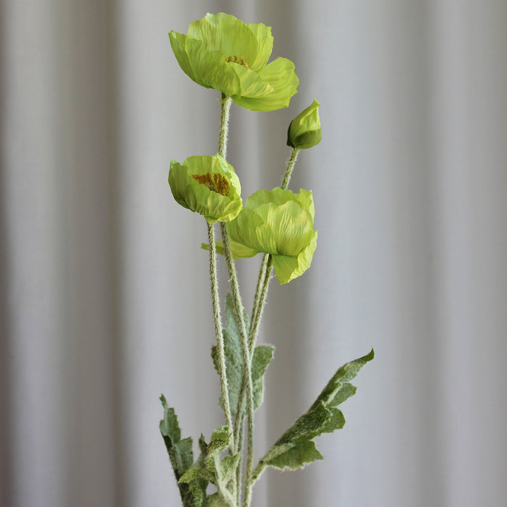 Poppy grøn