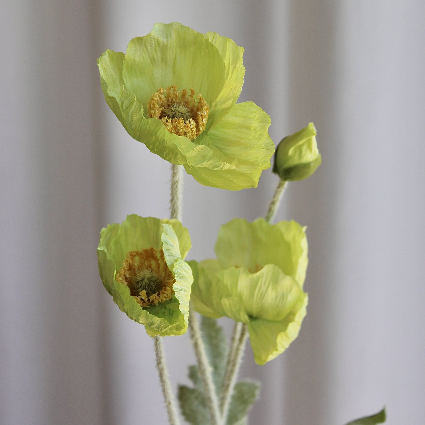 Poppy grøn