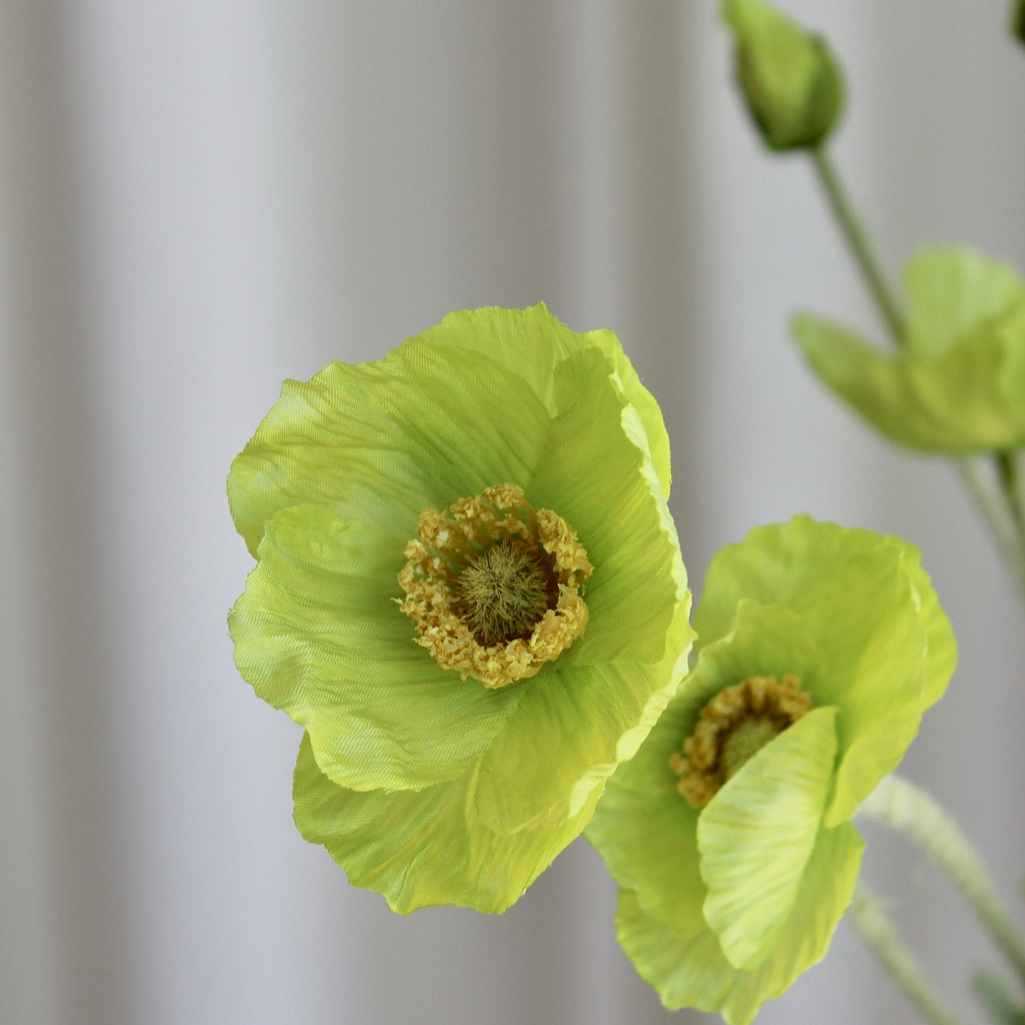 Poppy grøn