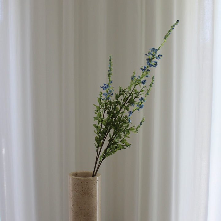 Salvia grass blå