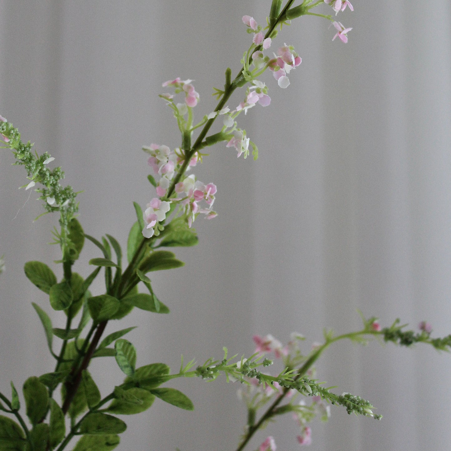 Salvia Grass lyserød