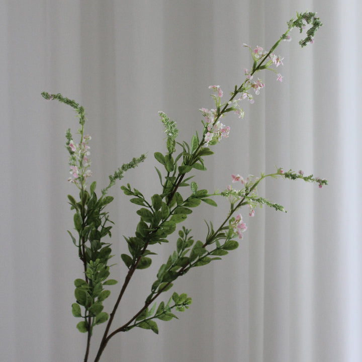Salvia Grass lyserød