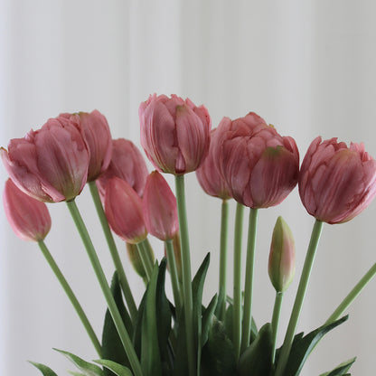 Tulipaner rosa
