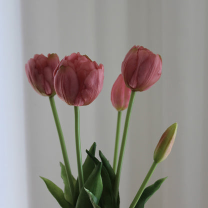 Tulipaner rosa